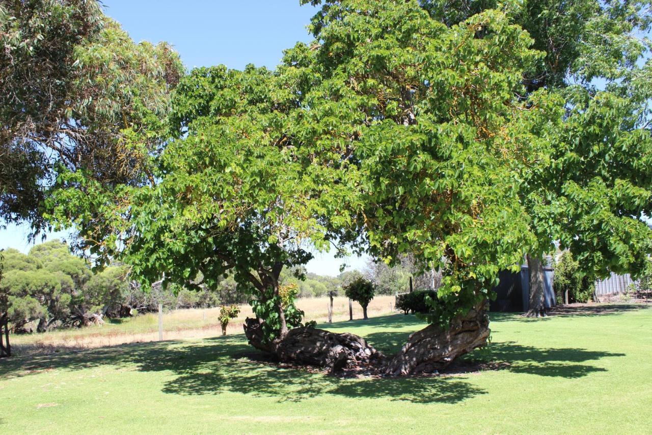 Fairlawn Estate Pensionat Busselton Eksteriør billede
